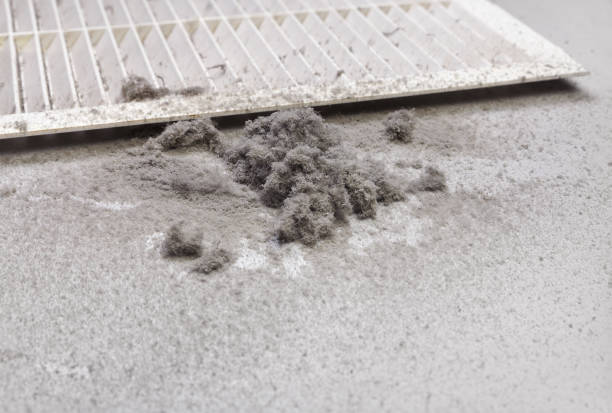Best Best Air Duct Cleaning Company  in Bangs, TX