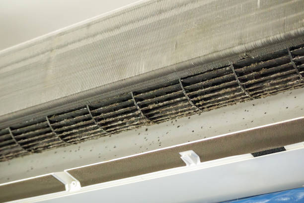 Best HVAC System Cleaning  in Bangs, TX